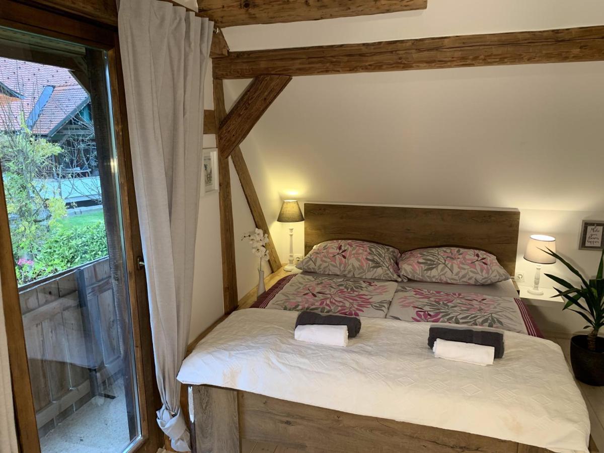 Jana Apartment Radovljica